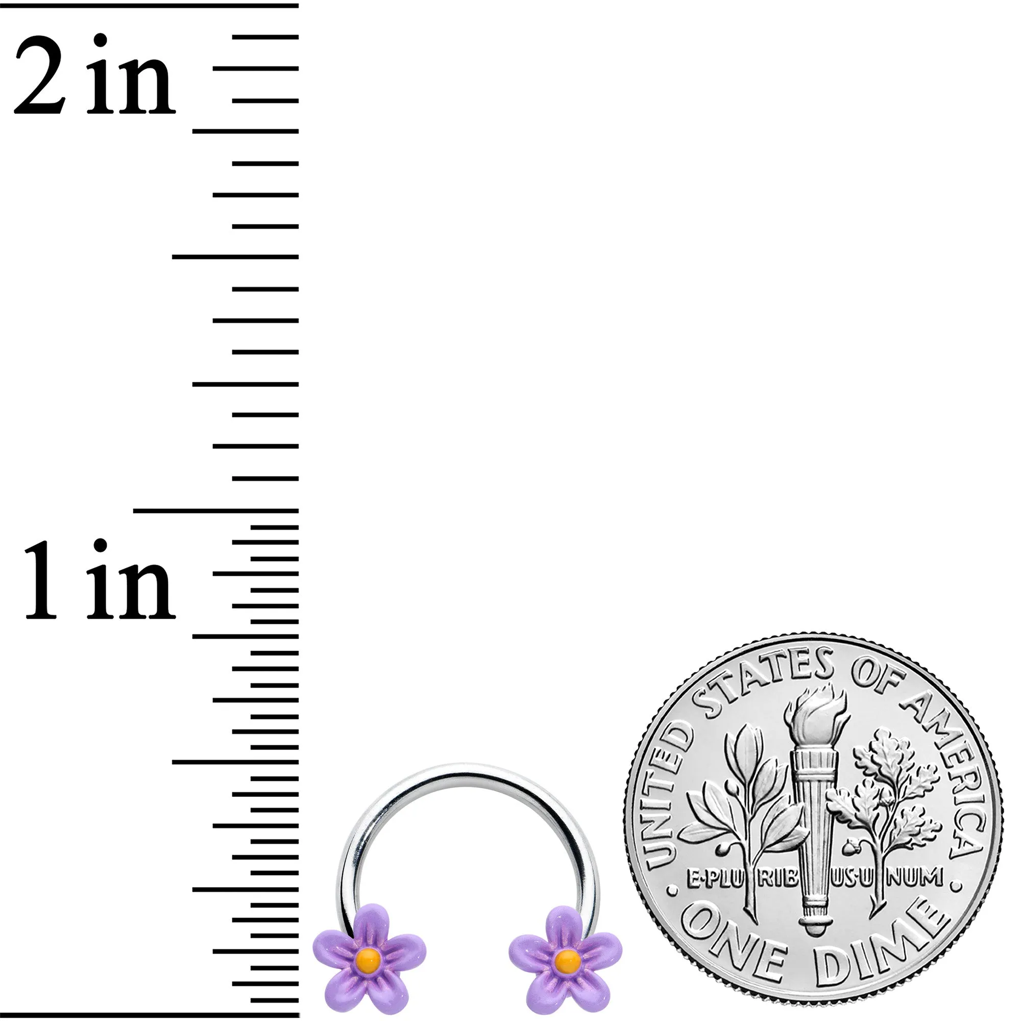 16 Gauge 3/8 Purple Ball Flowers Horseshoe Circular Barbell Set of 4