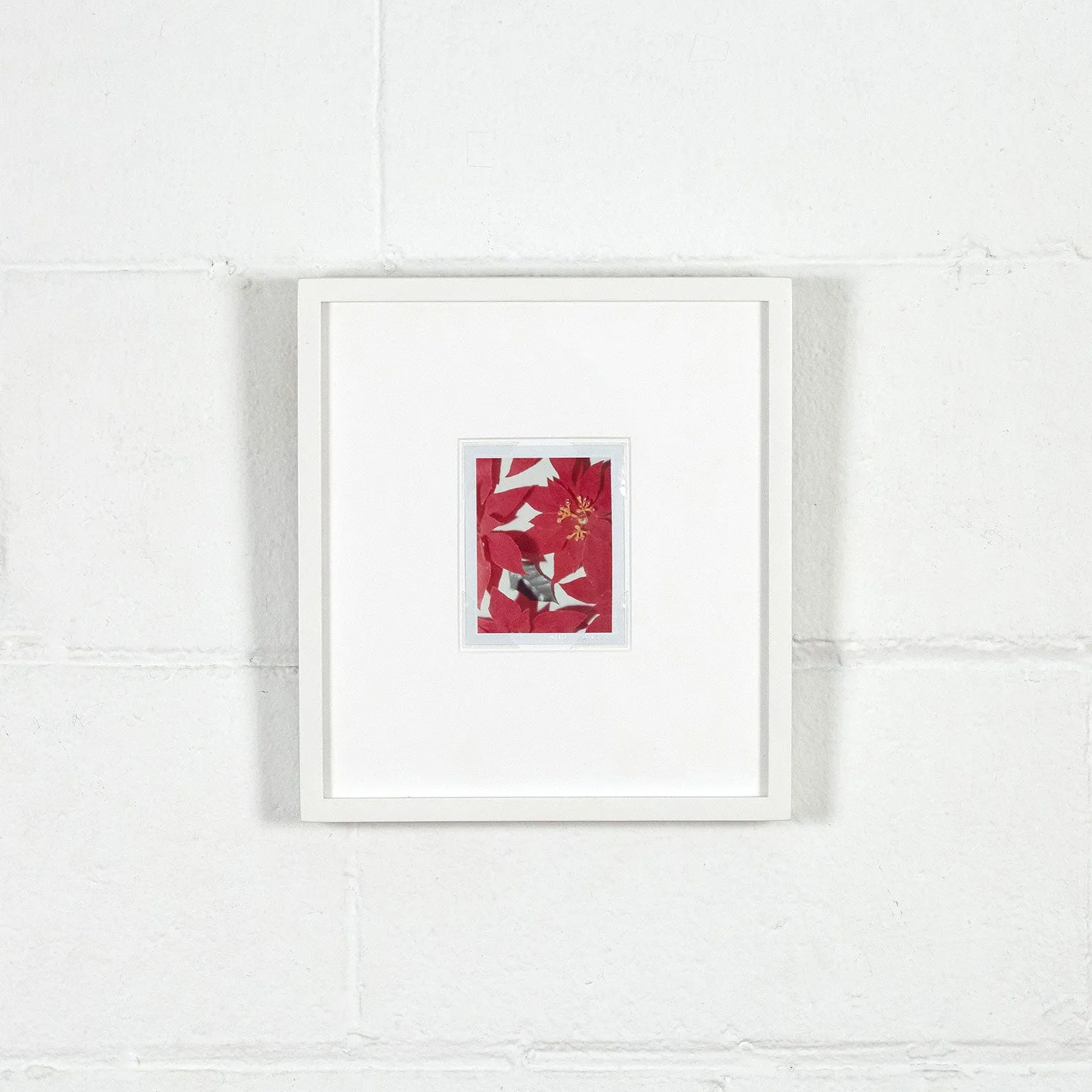 ANDY WARHOL "POINSETTIAS" POLAROID, 1982