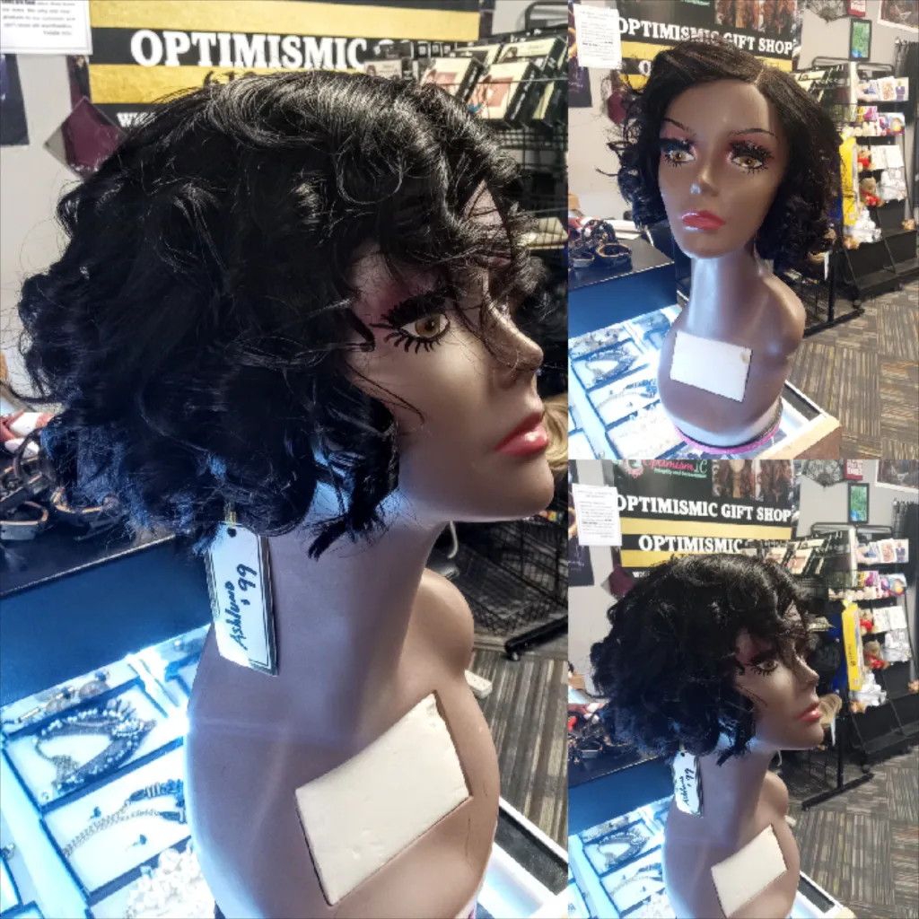 Ashlund 4x4 transparent lace black $99 100% Human Hair Lace Front Wig Optimismic Wigs and Gifts West St Paul