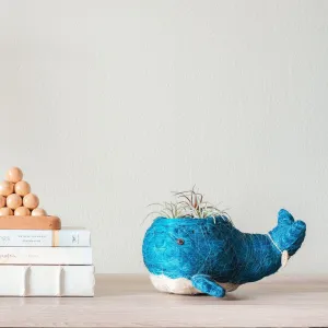 Baby Whale Flower Pot - Coco Coir Pots