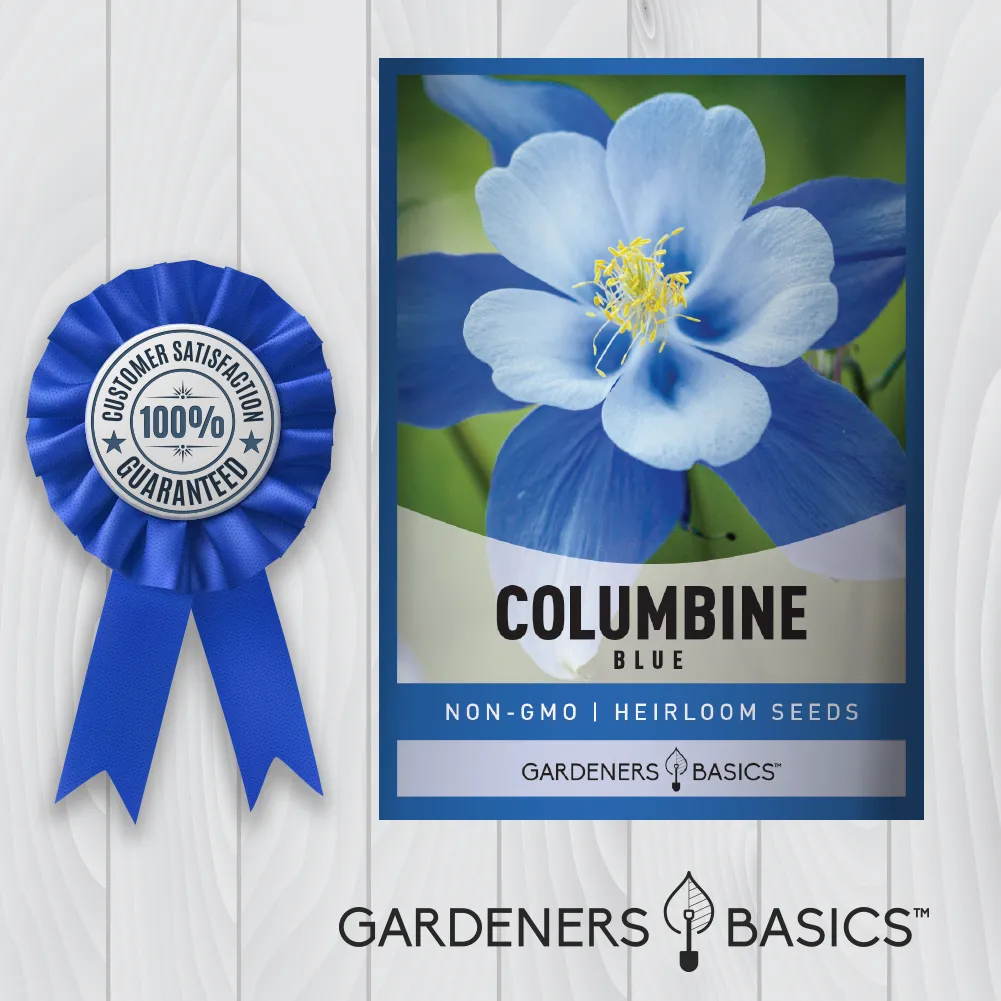 Blue Columbine Seeds