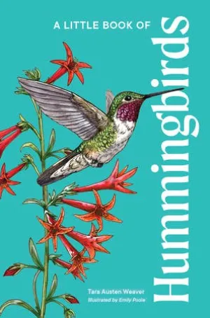 Book, Little Book Of Hummingbirds