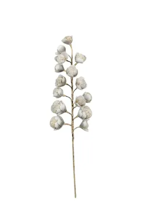 Botanica #2297 (Pack of 6)