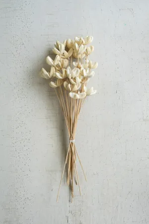 Bundle of 24 Bleached Bullet Flowers on Stems (Pack of 6)