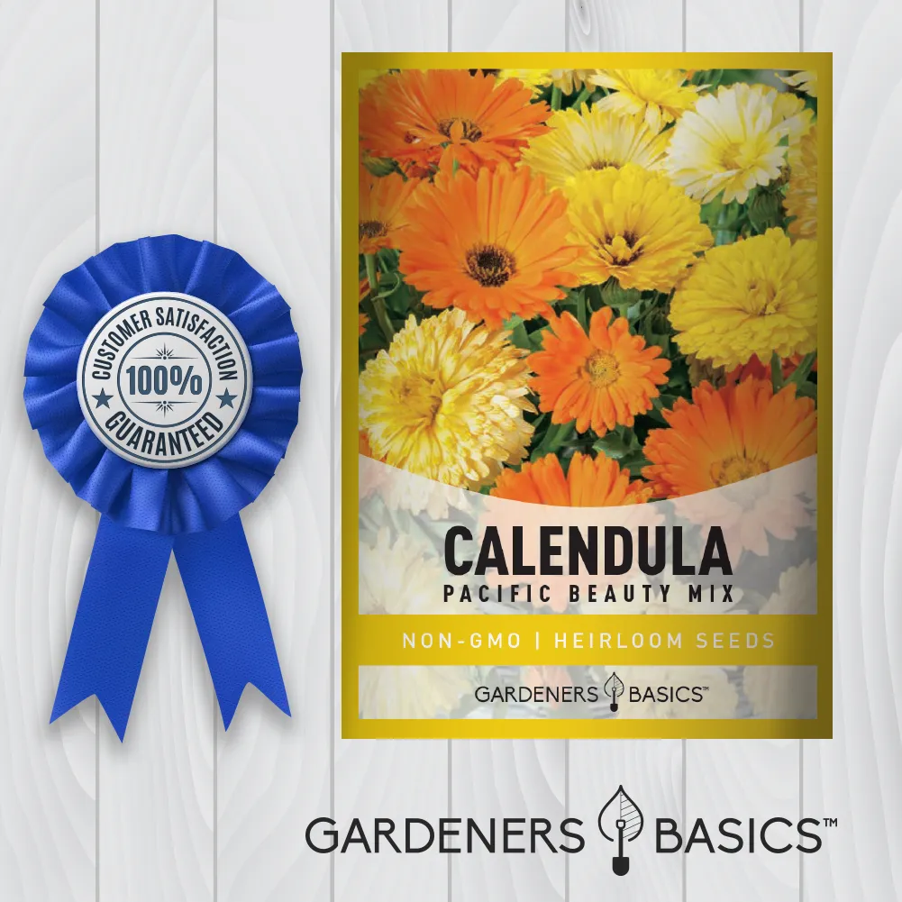 Calendula Pacific Beauty Mix Seeds