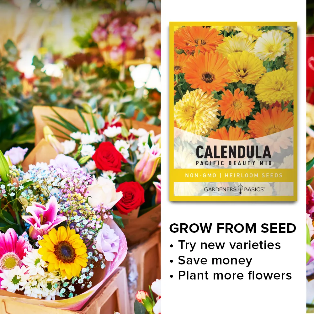 Calendula Pacific Beauty Mix Seeds