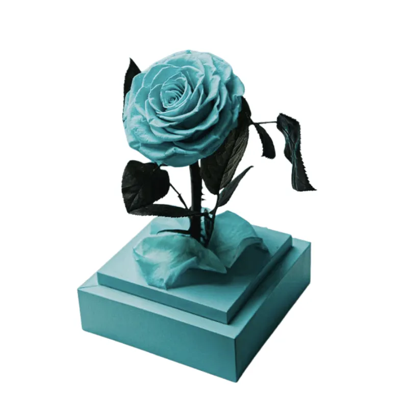 Circle Rose Square Dome – A Timeless Gift To Loved One
