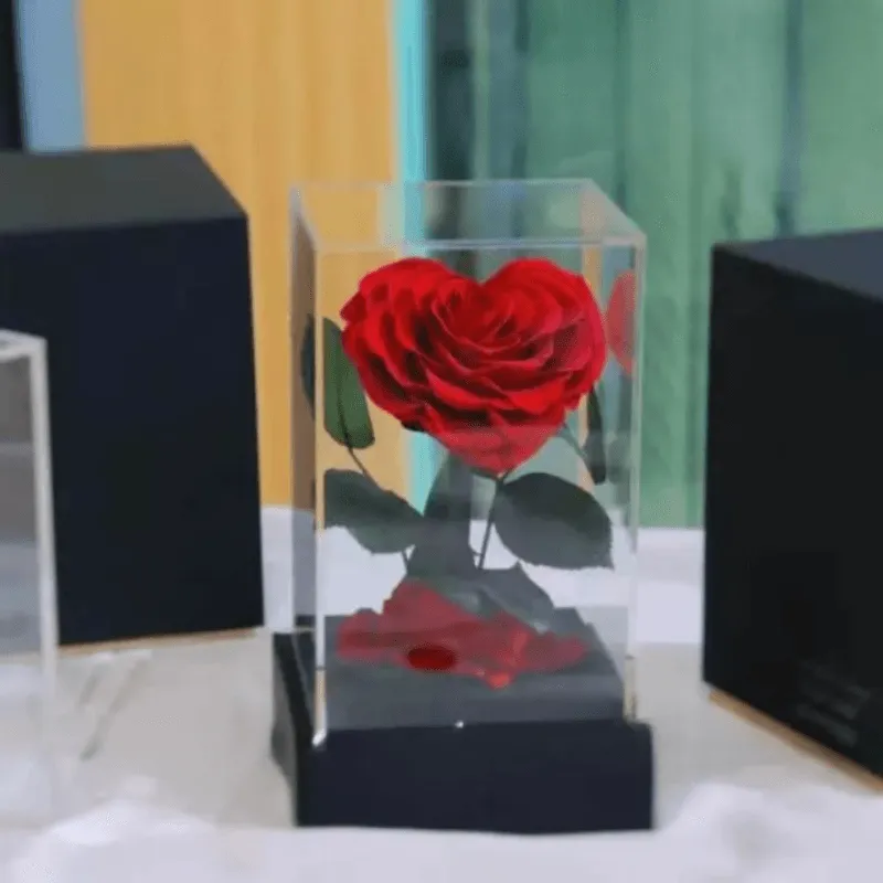 Circle Rose Square Dome – A Timeless Gift To Loved One