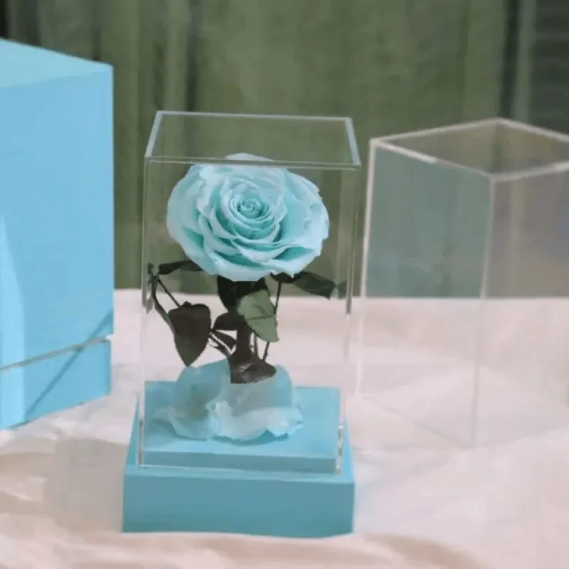 Circle Rose Square Dome – A Timeless Gift To Loved One