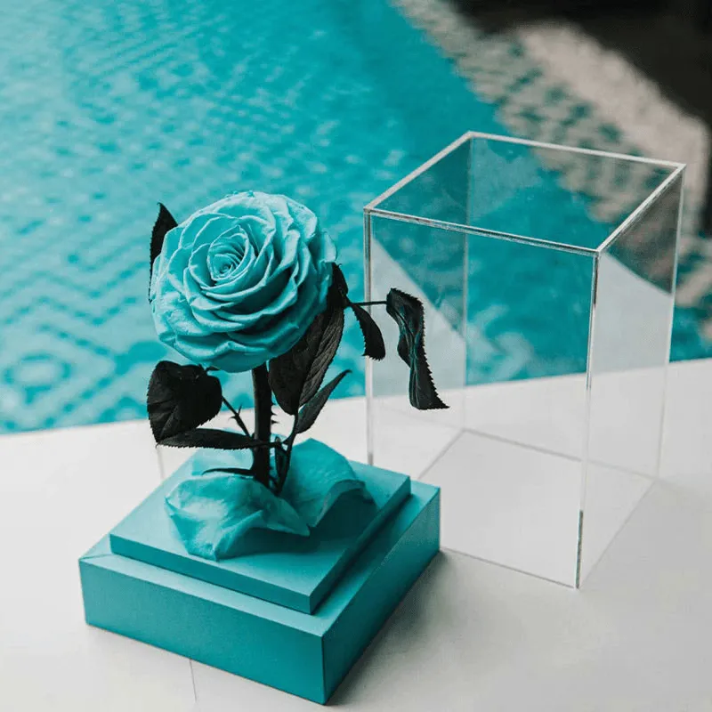 Circle Rose Square Dome – A Timeless Gift To Loved One