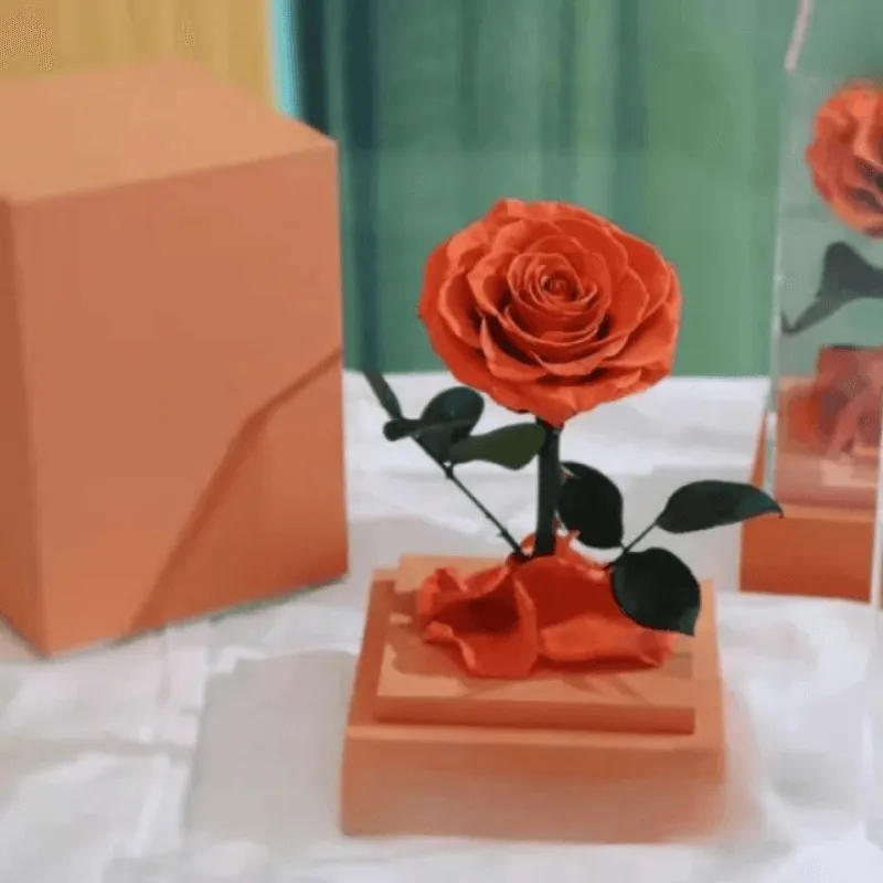 Circle Rose Square Dome – A Timeless Gift To Loved One