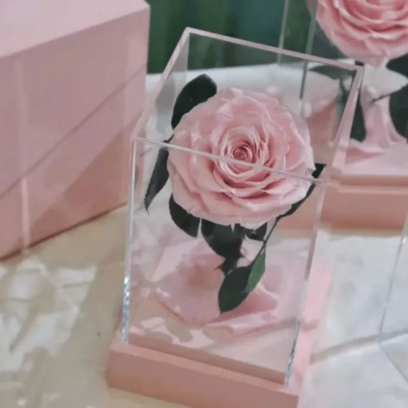 Circle Rose Square Dome – A Timeless Gift To Loved One