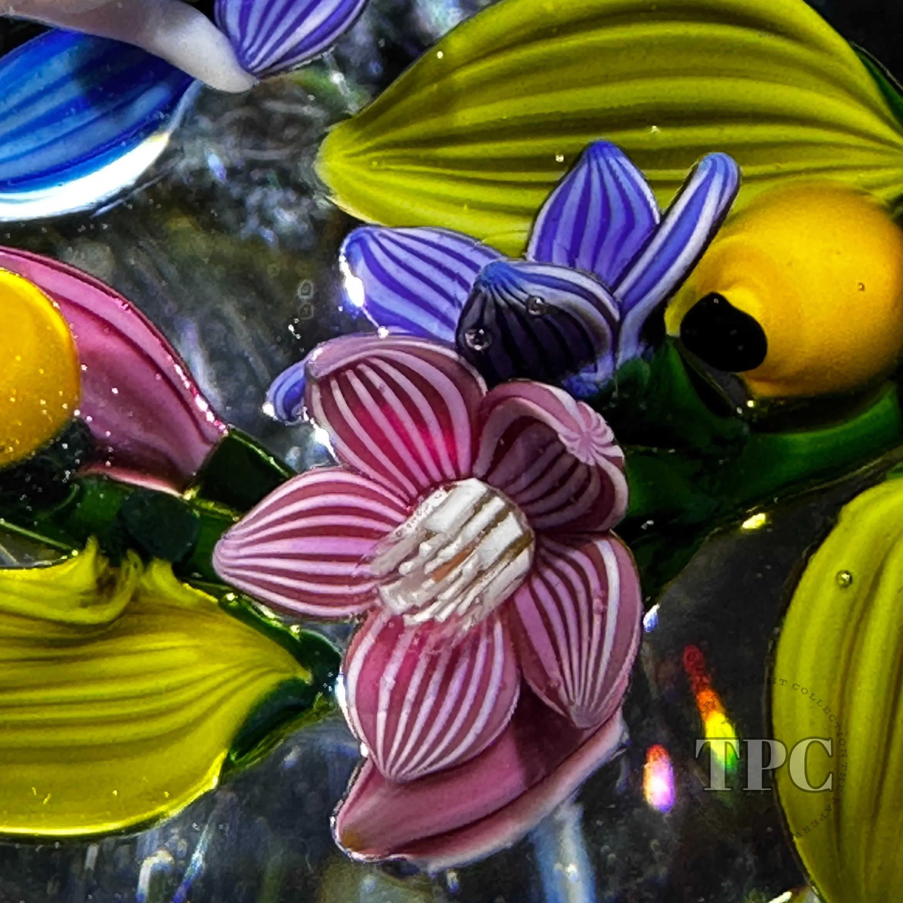 Colin Richardson 2022 Glass Art Paperweight Flamework Floral Bouquet "Nature Spirits"