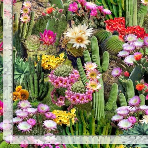 Desert Dreams Multi - (2)