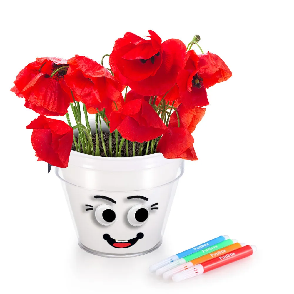 Diy Plant A Poppy Pot Kit