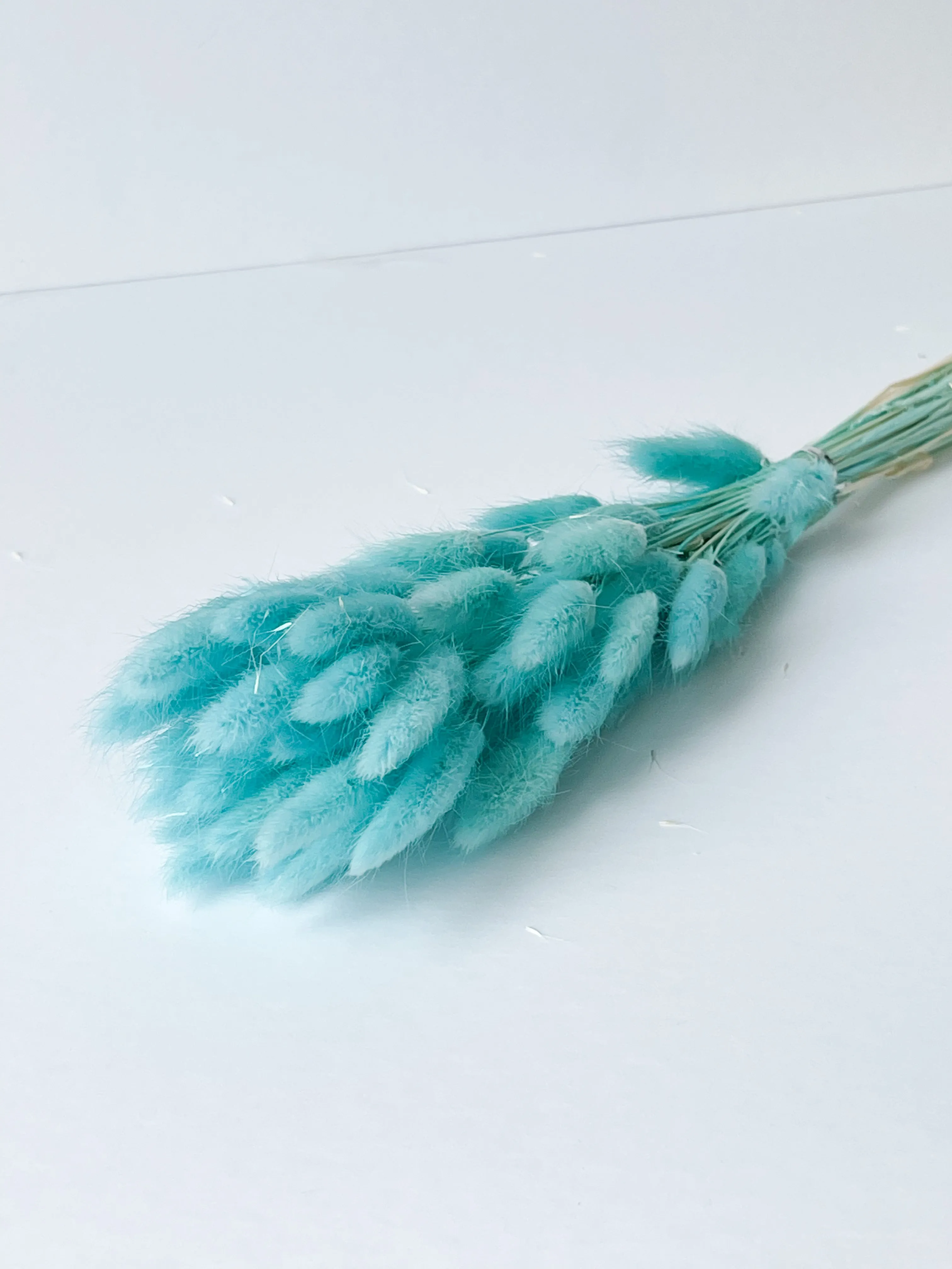 Dried bunny tails in various colors (50pc/bunch)