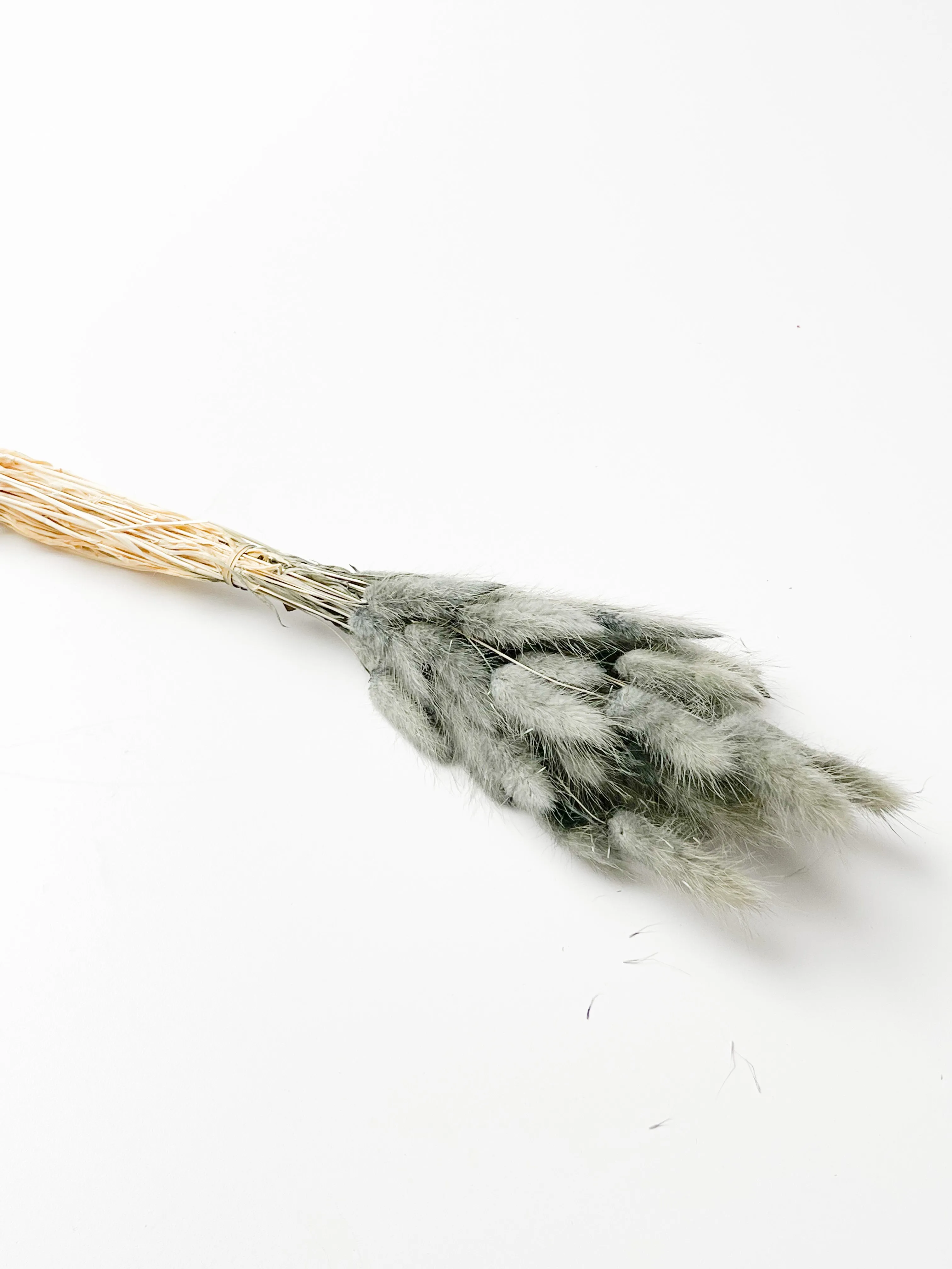 Dried bunny tails in various colors (50pc/bunch)