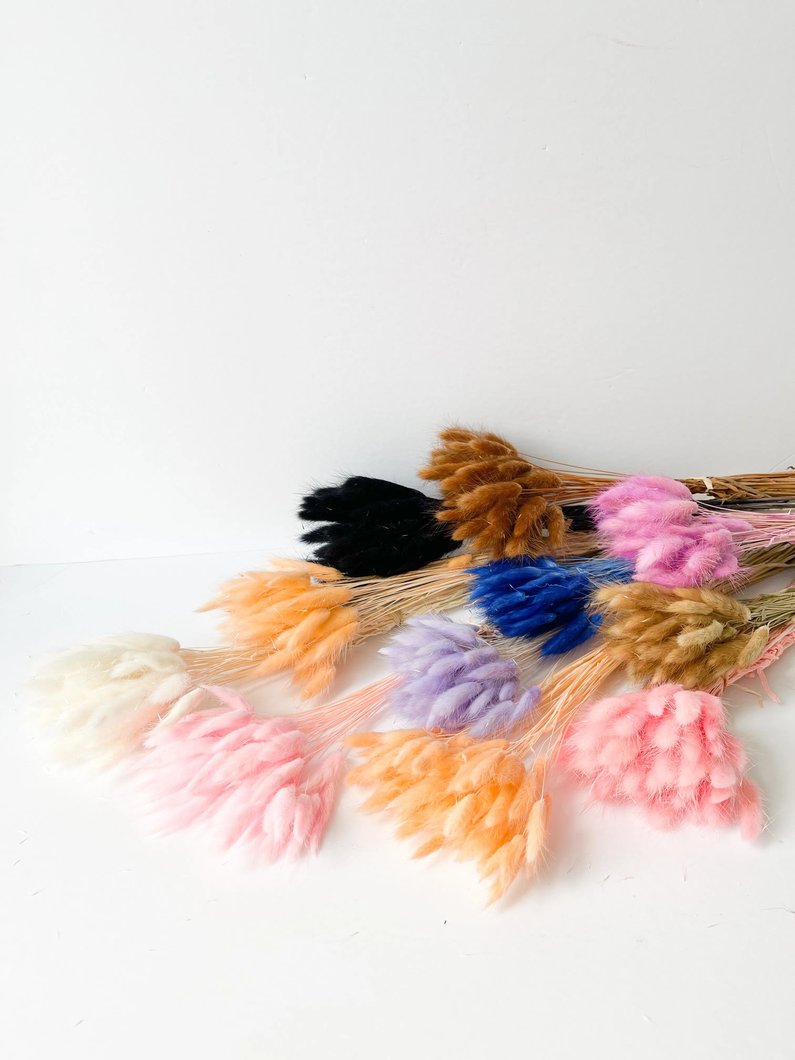 Dried bunny tails in various colors (50pc/bunch)