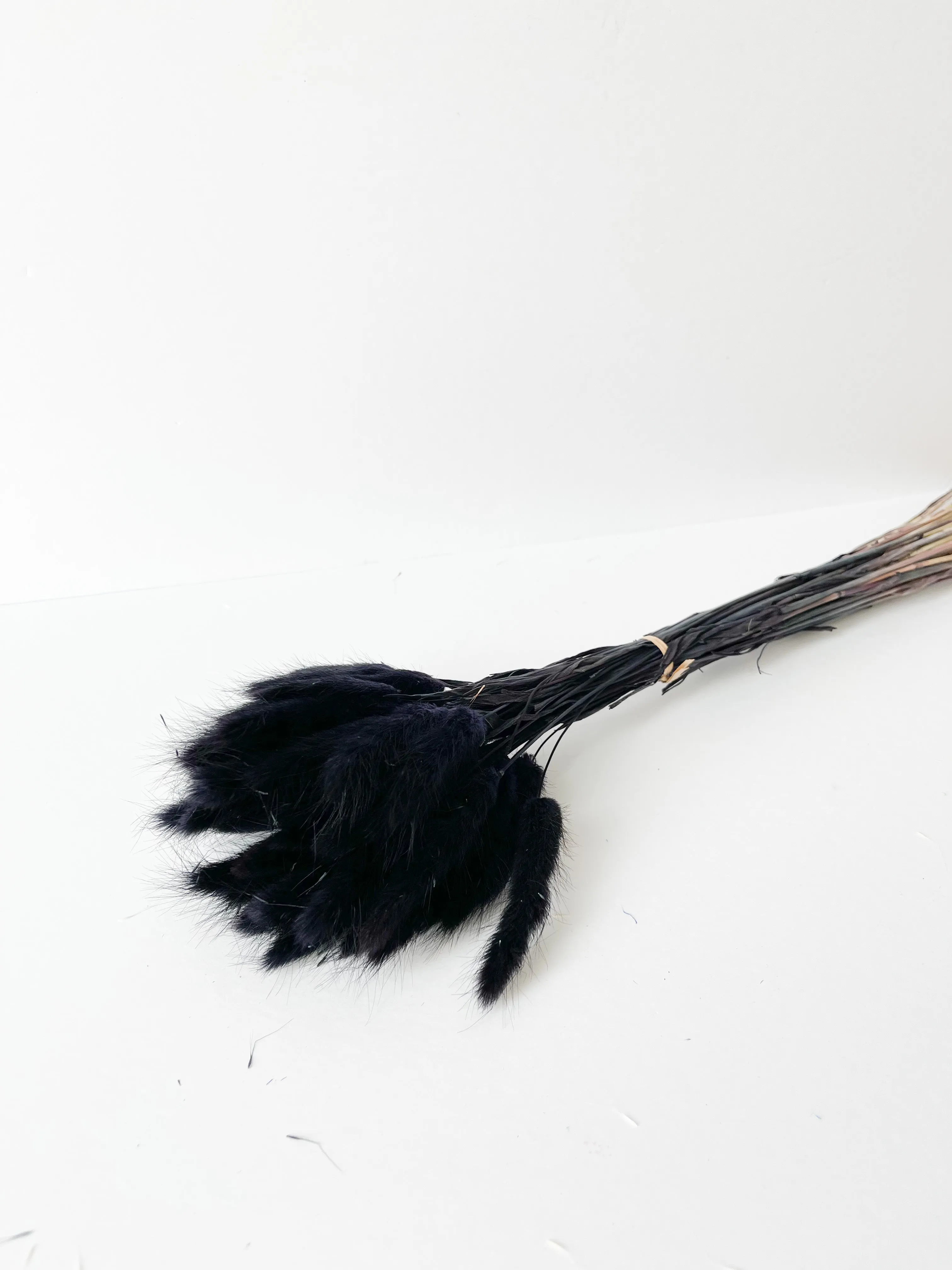 Dried bunny tails in various colors (50pc/bunch)