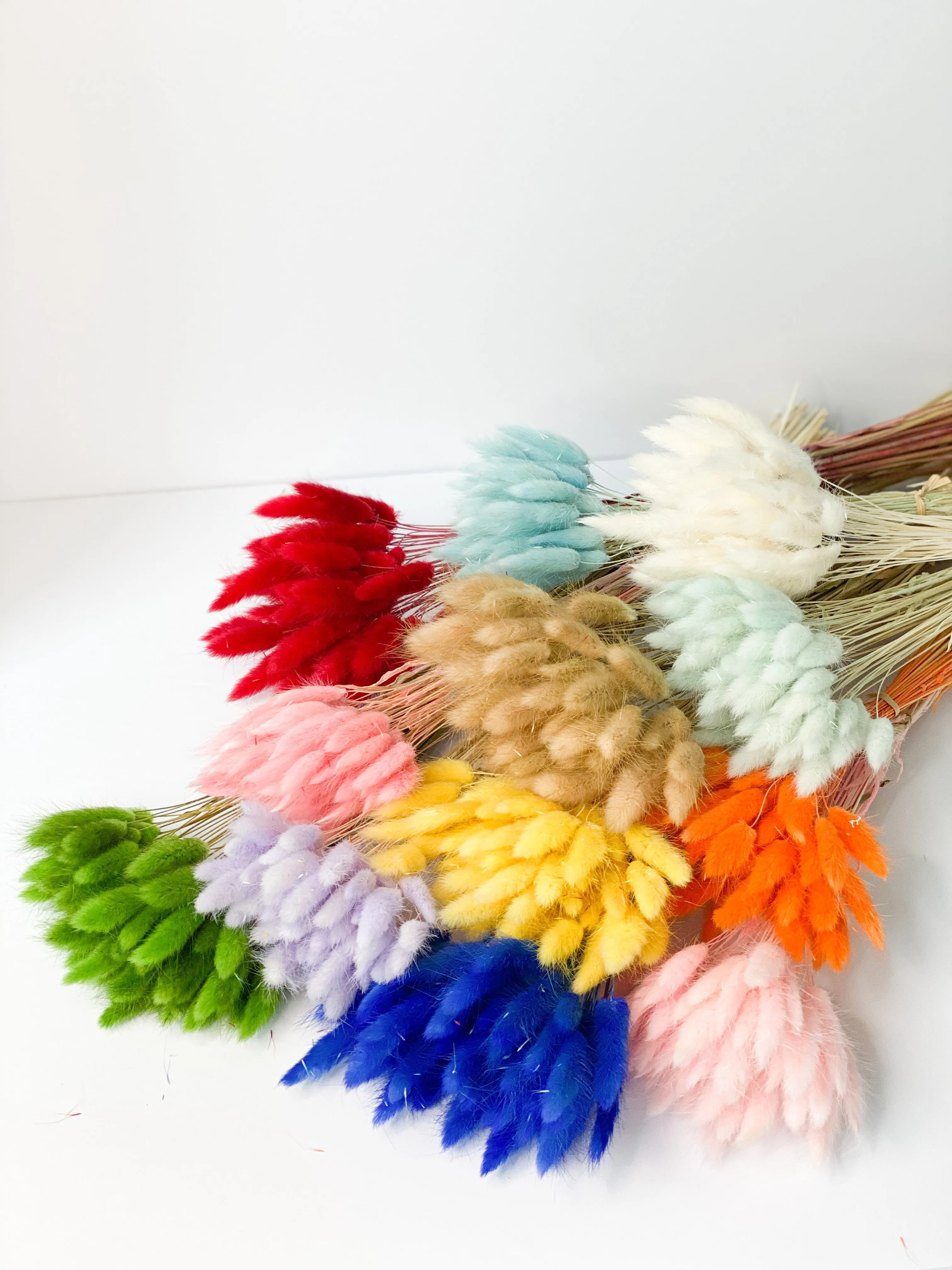 Dried bunny tails in various colors (50pc/bunch)