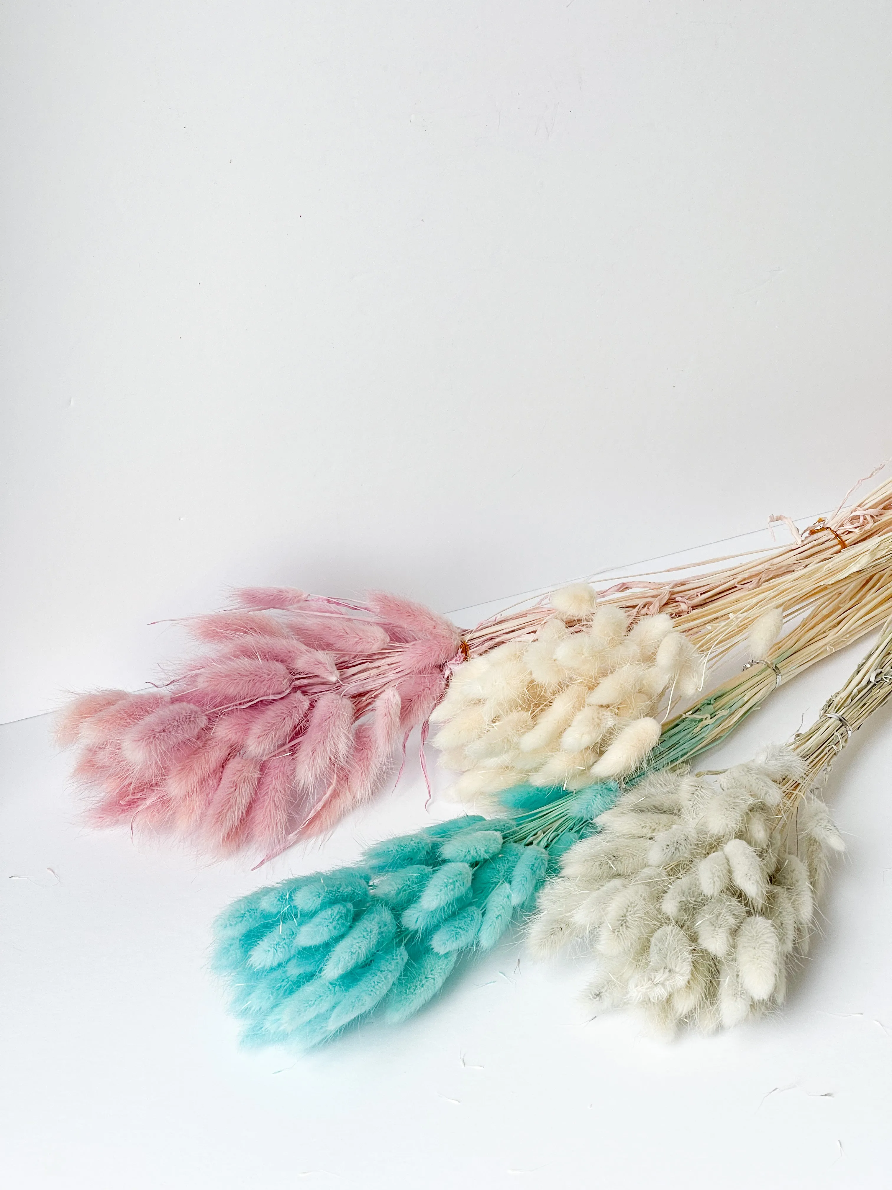 Dried bunny tails in various colors (50pc/bunch)