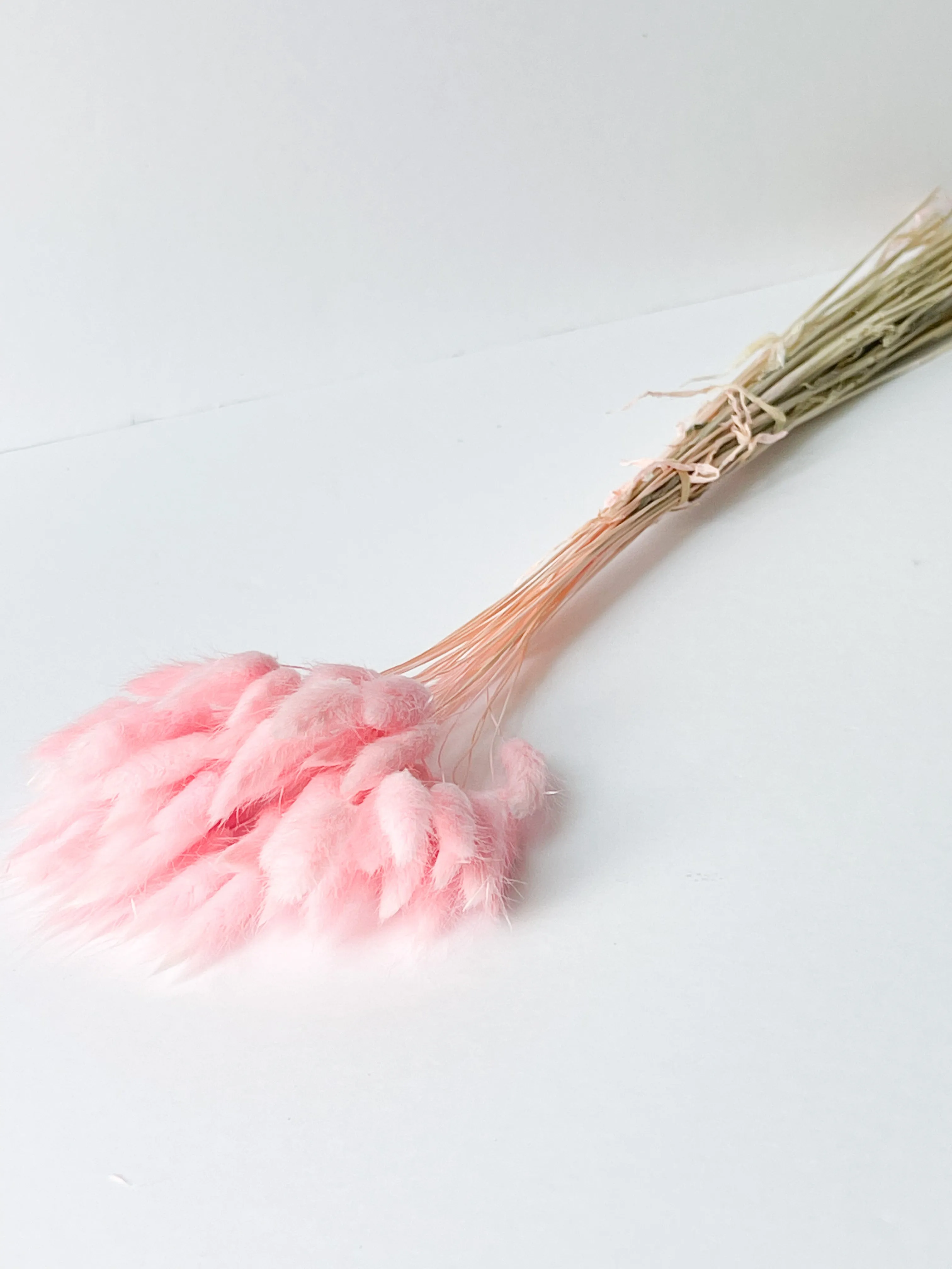 Dried bunny tails in various colors (50pc/bunch)