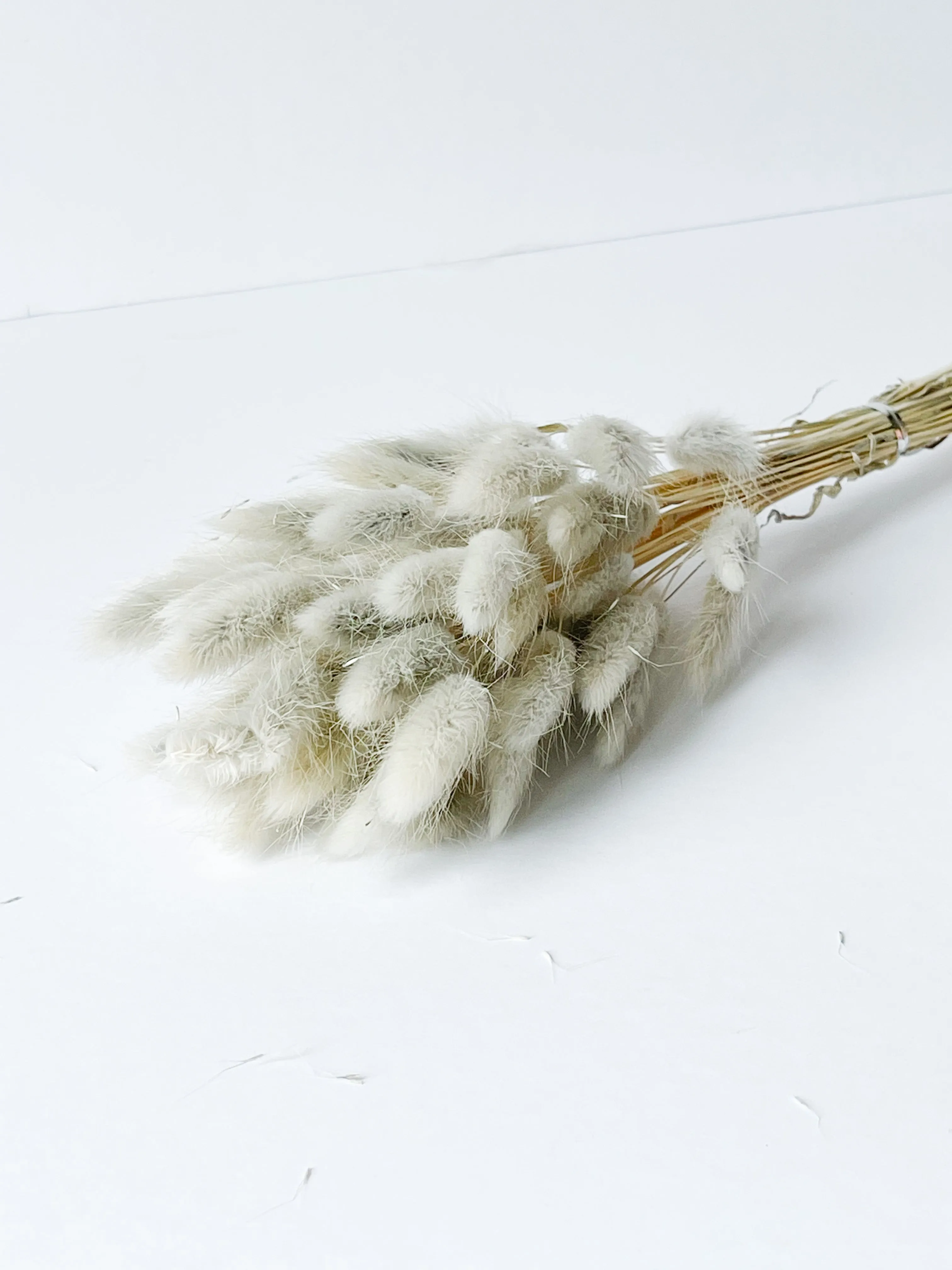 Dried bunny tails in various colors (50pc/bunch)