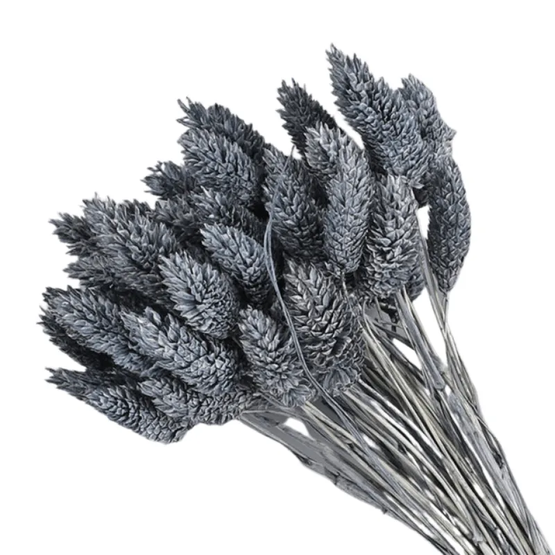 Dried Pampas Flower – Natural And Timeless Decorative Accent