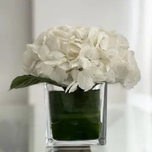 Elegance