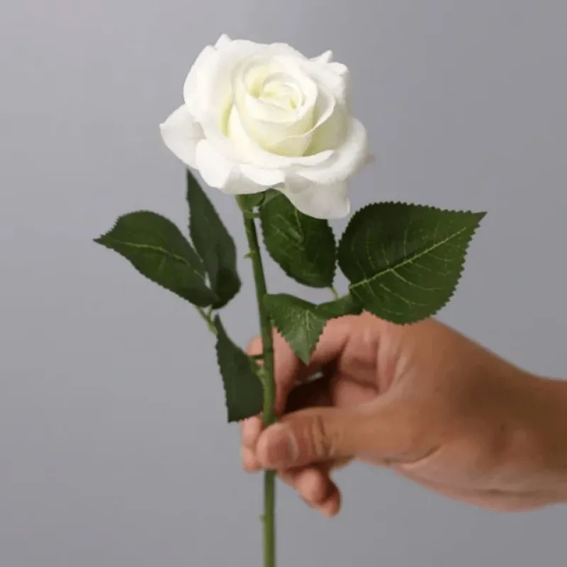 Eternal Roses - The Timeless Rose Gift For Every Festival