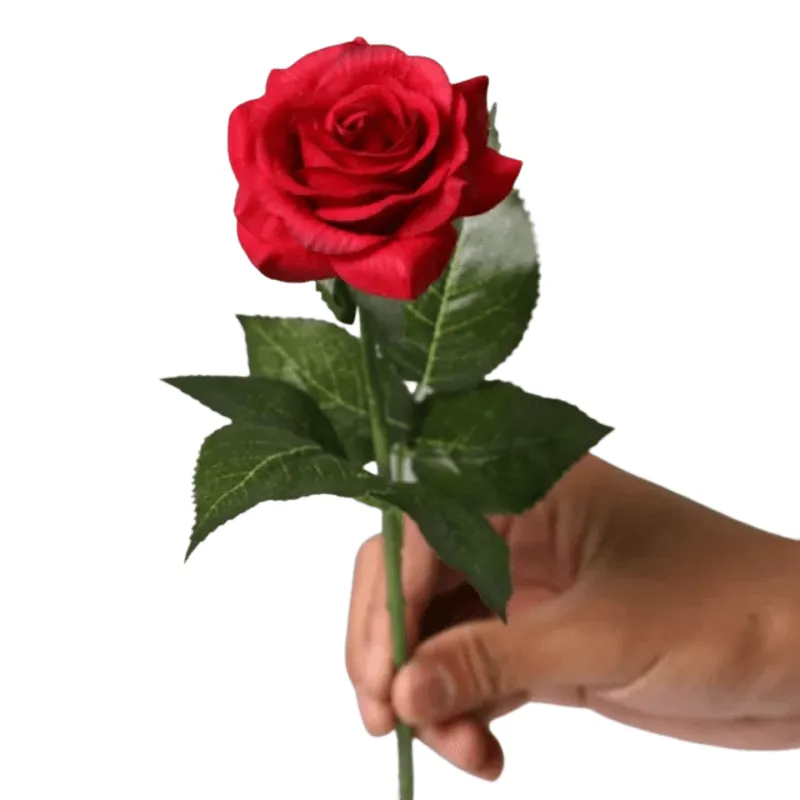 Eternal Roses - The Timeless Rose Gift For Every Festival