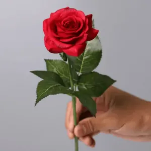 Eternal Roses - The Timeless Rose Gift For Every Festival