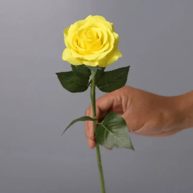 Eternal Roses - The Timeless Rose Gift For Every Festival