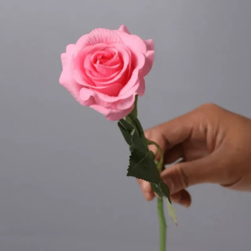 Eternal Roses - The Timeless Rose Gift For Every Festival
