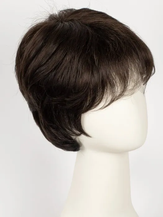 Fair Mono | Synthetic Lace Front Wig (Mono Top)