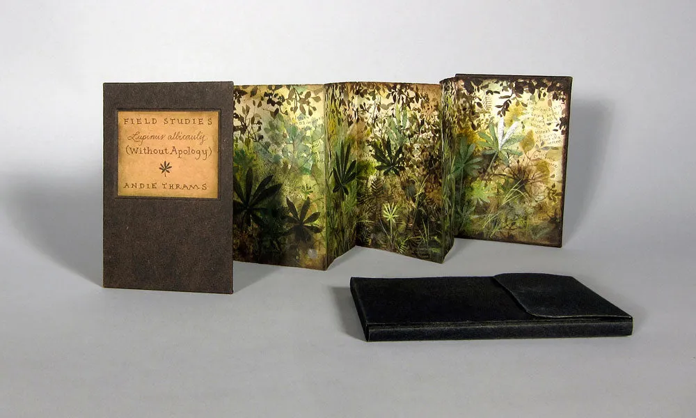 Field Studies No. 15 by Andie Thrams - SOLD!