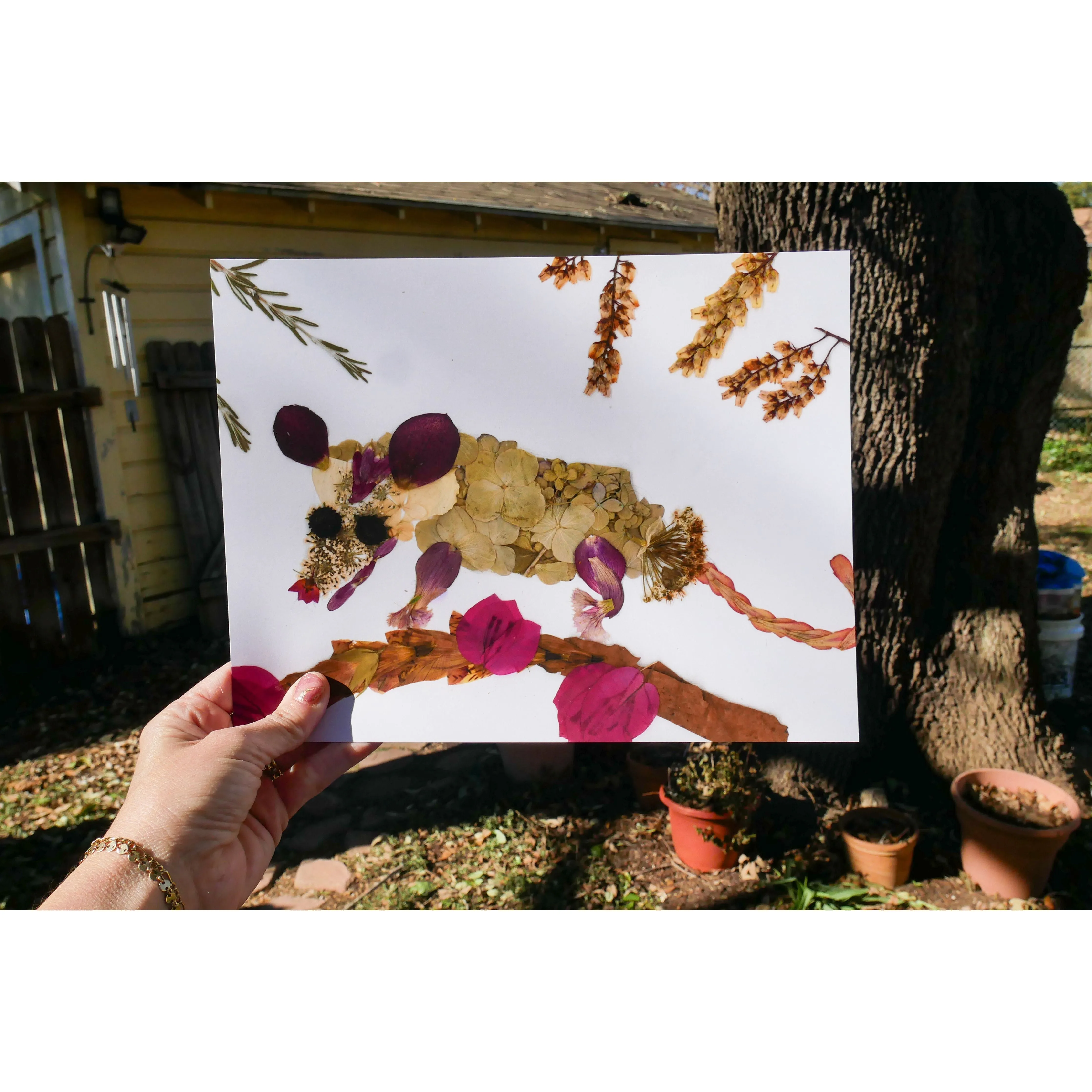 Floral possum print