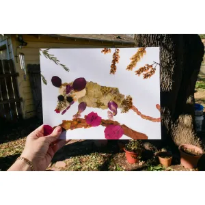 Floral possum print