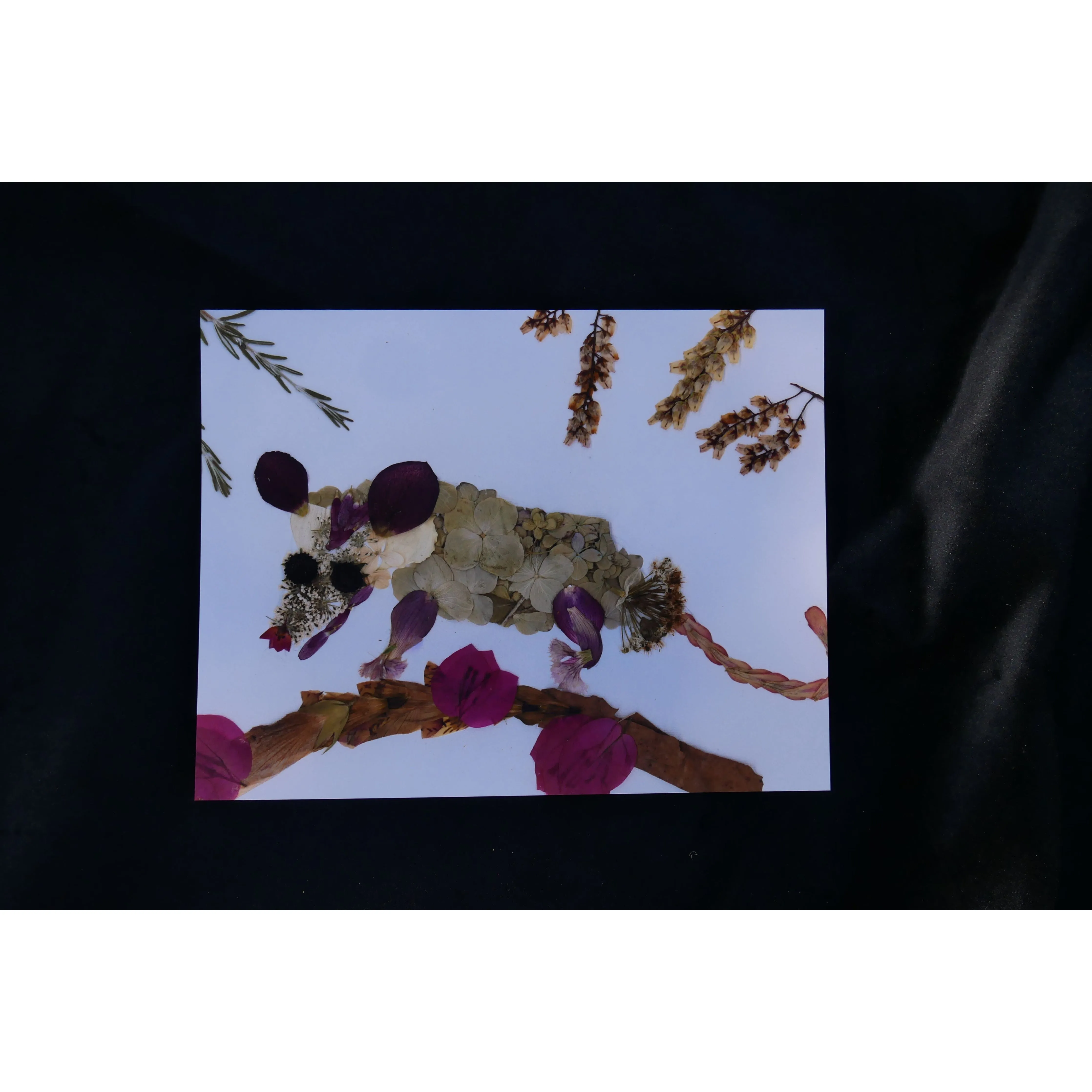 Floral possum print