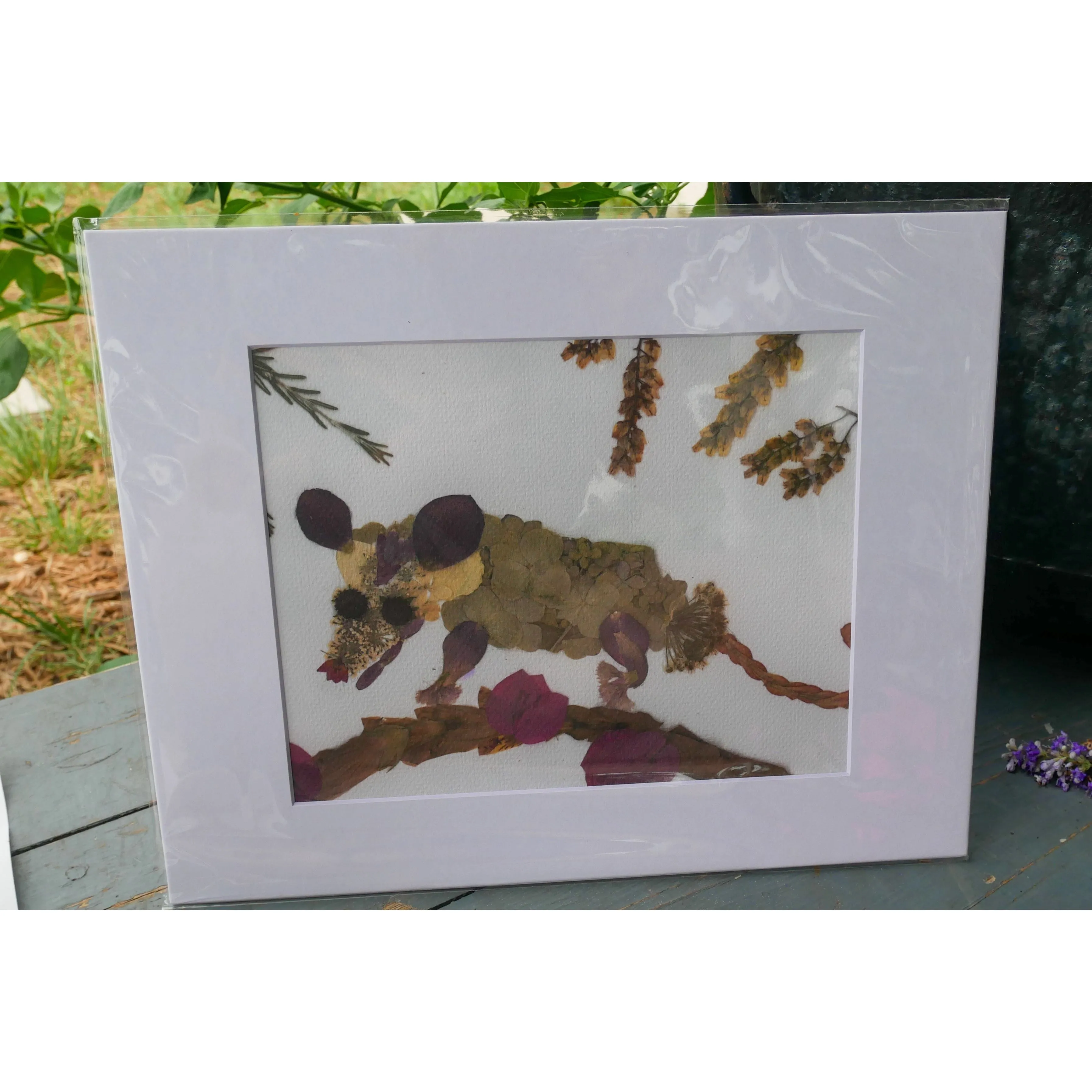 Floral possum print