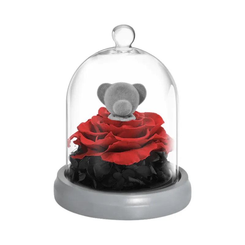 Forever Rose Dome - Bunny And Bear With LED Lights