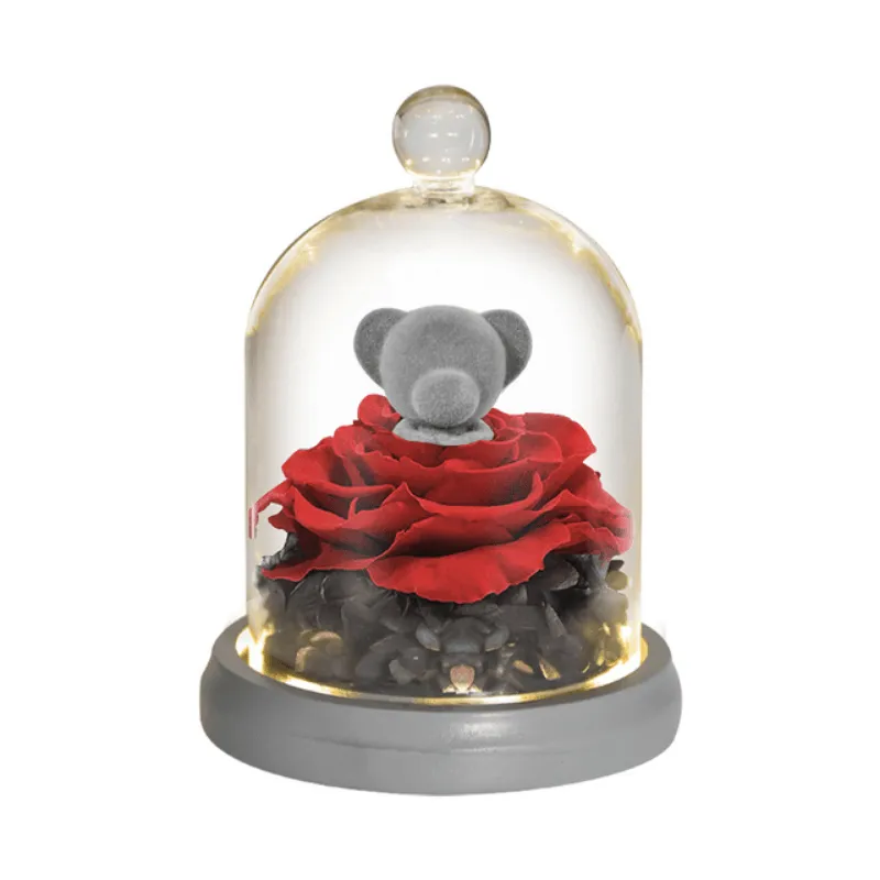 Forever Rose Dome - Bunny And Bear With LED Lights