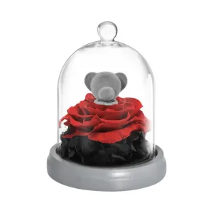 Forever Rose Dome - Bunny And Bear With LED Lights