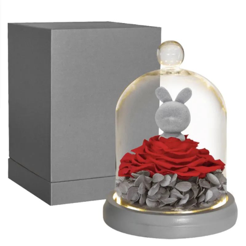 Forever Rose Dome - Bunny And Bear With LED Lights