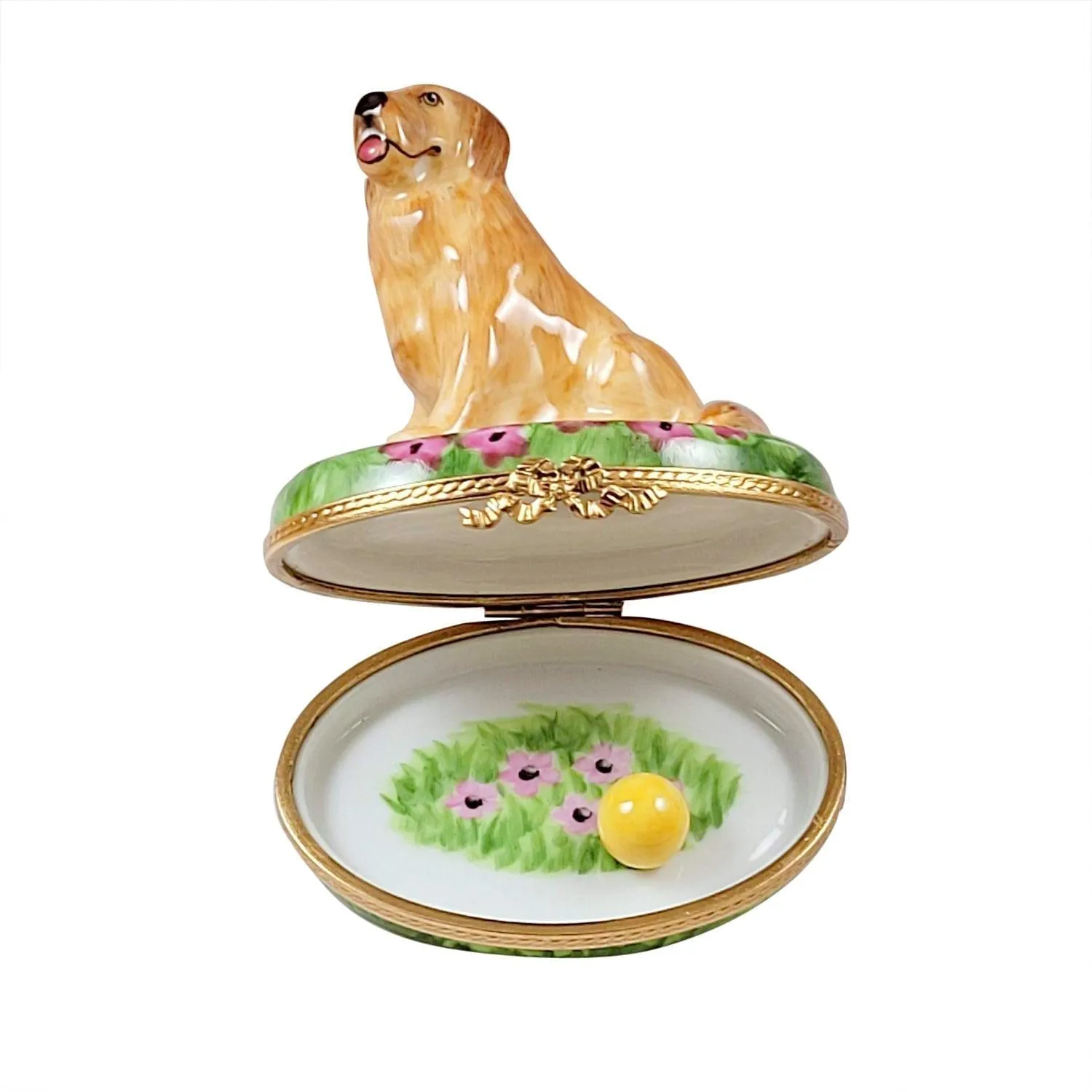 Golden Retriever on Flowers with Removable Ball