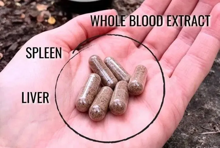 Grass Fed Whole Blood Capsules - 160 capsules