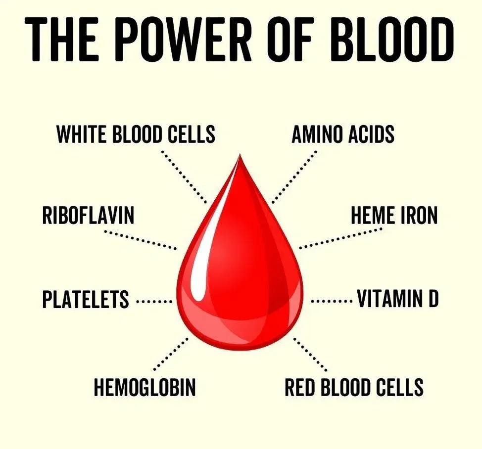 Grass Fed Whole Blood Capsules - 160 capsules