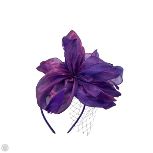 Hair Accessory By Clothes Mentor