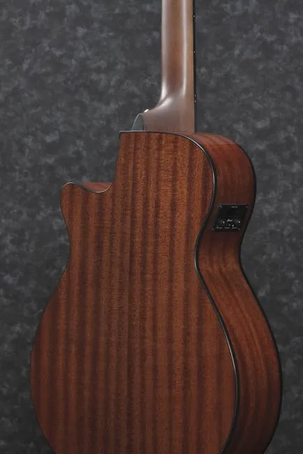 Ibanez AEG50N-BKH nylon string
