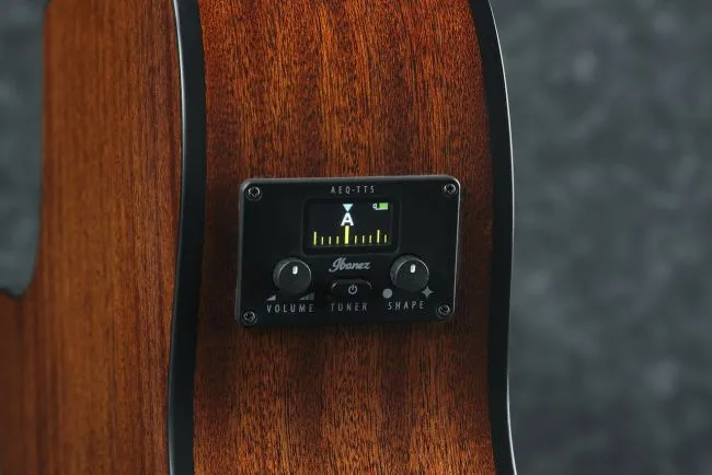 Ibanez AEG50N-BKH nylon string